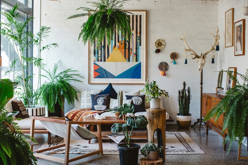 green-potted-plant-on-brown-wooden-table