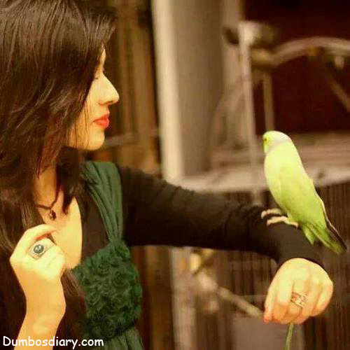 Girl with parrot dp