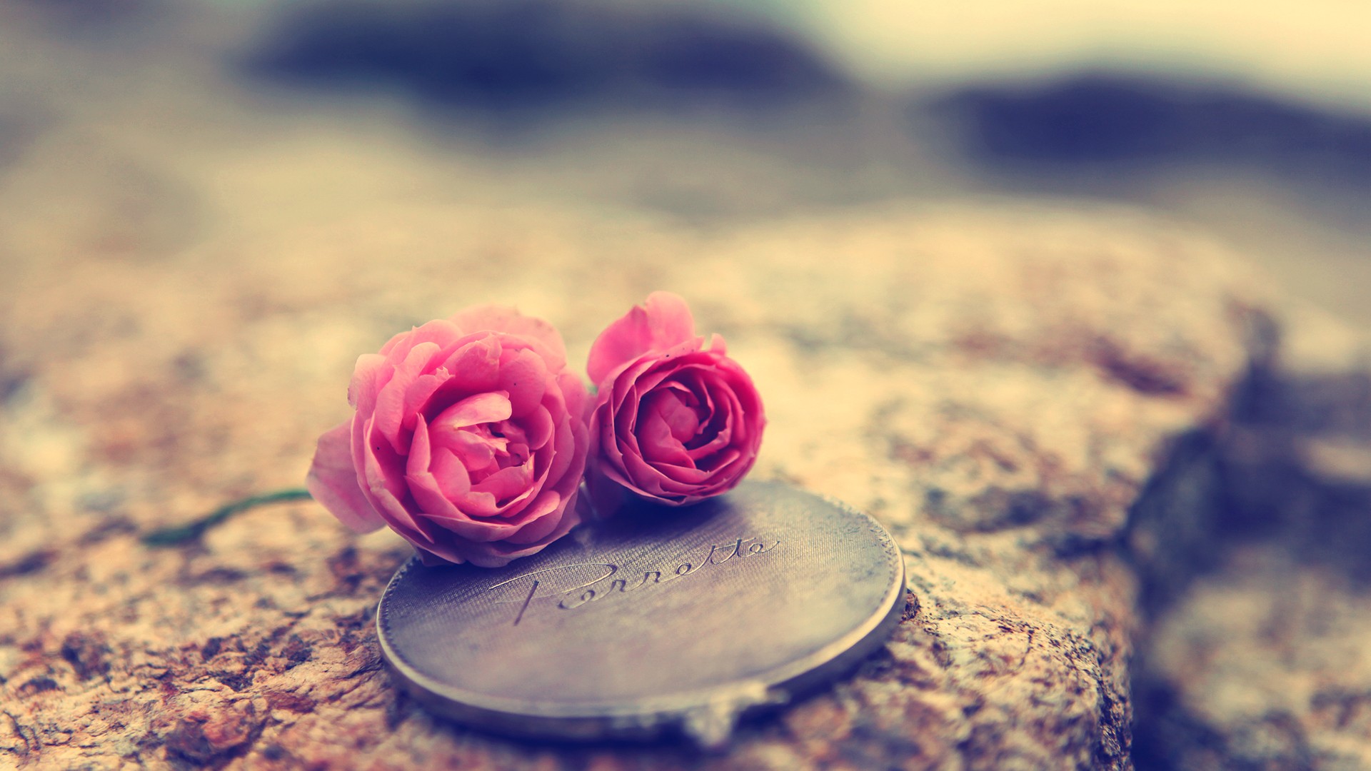 Love Rose Flower Wallpaper