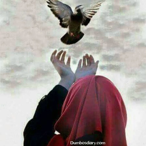 Muslim girl with pigeon
