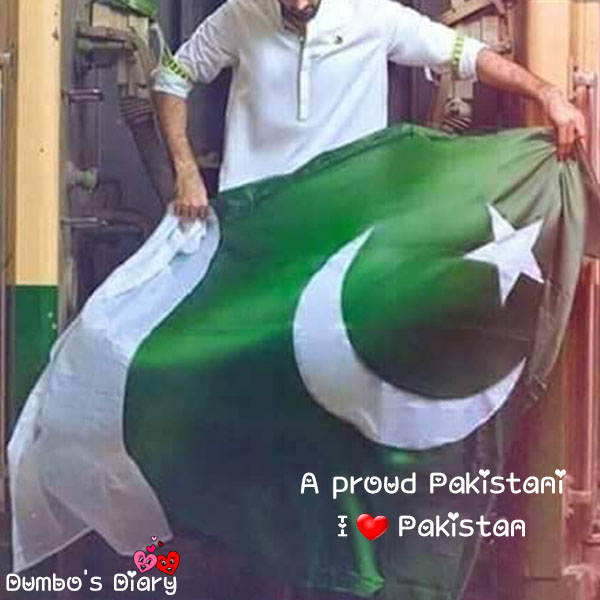 Pakistan Day dp with status for boys