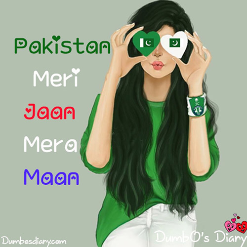 Pakistan Day girly DP with status