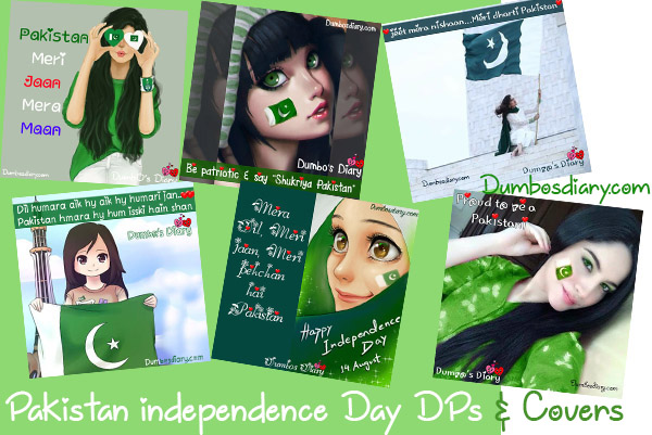 Independence Day Girly Dps And Covers With Status