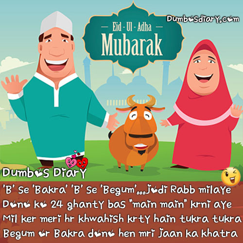 Eid ul Adha funny quotes, SMS, poetry in Urdu/Hindi